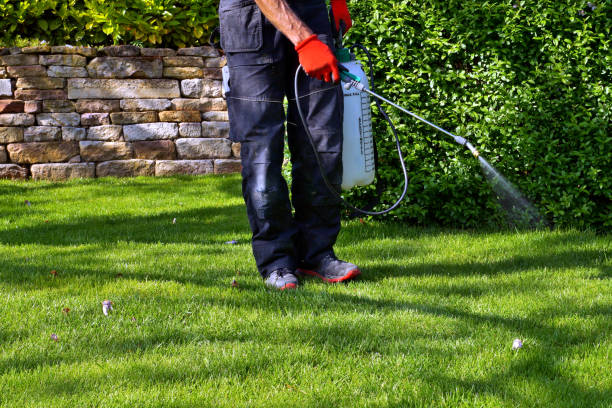 Best Organic or Eco-Friendly Pest Control  in North Eastham, MA